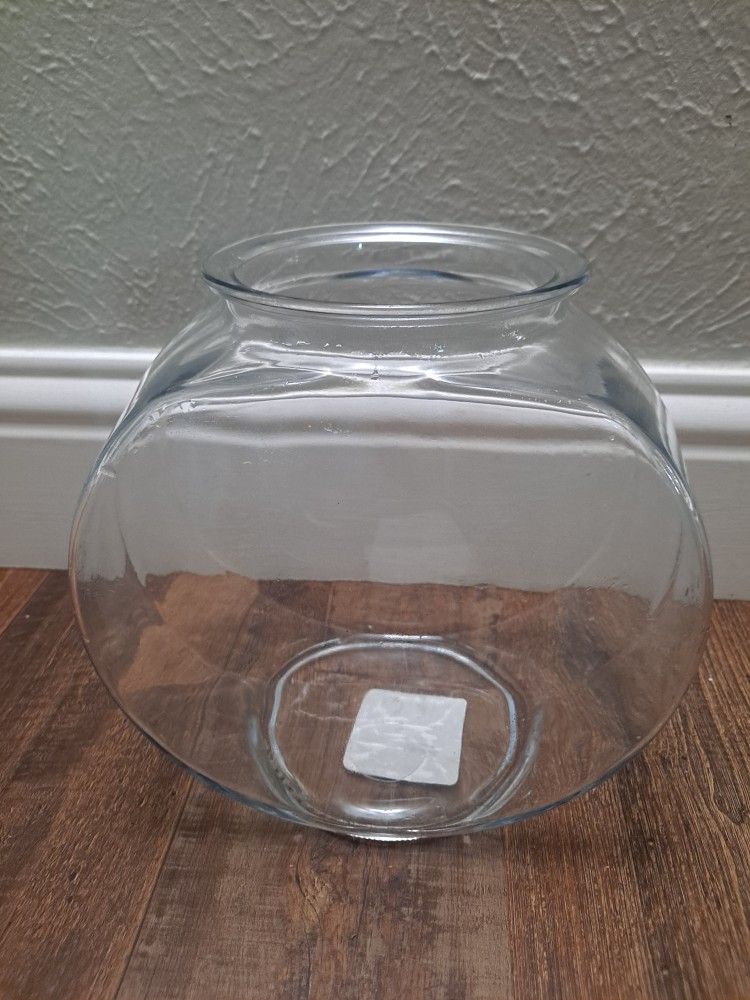 1 Gallon Fish Tank