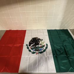 Mexican Flags 🇲🇽