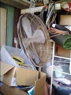 Big Fan