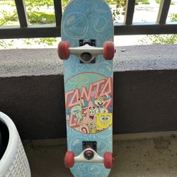 Santa Cruz Skateboard 