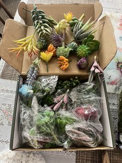 Succulent Crafting Supplies 