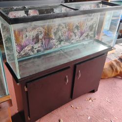 Fish Tank 55 Galón 