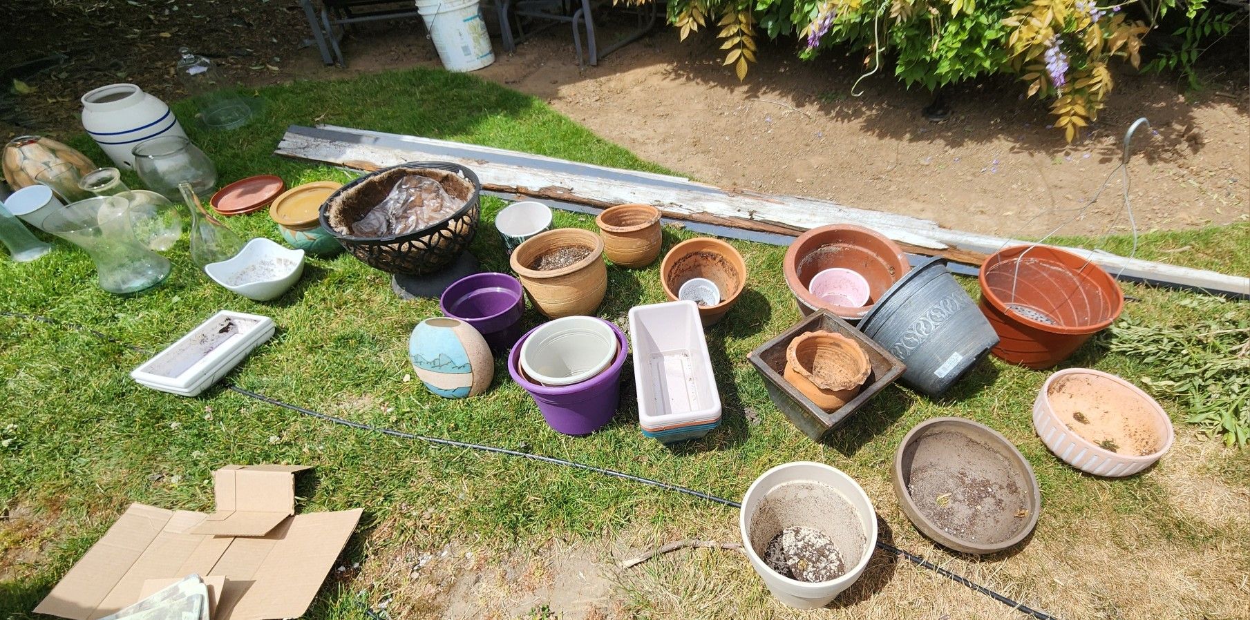 Vases and plant pots $2-$4 ea.