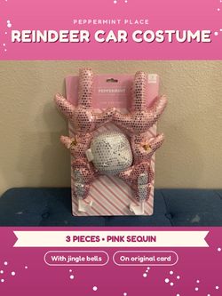 Peppermint Place Reindeer Car Costume Set
