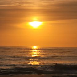 Fun In The Sunshine State 