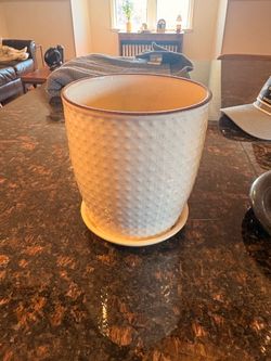 Flower Pot