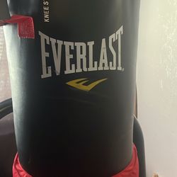 Everlast MMA Punching Bag W/stand