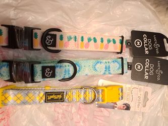 3 New Dog Collars