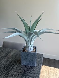 Pier 1 Faux Potted Palm/Agave Plant