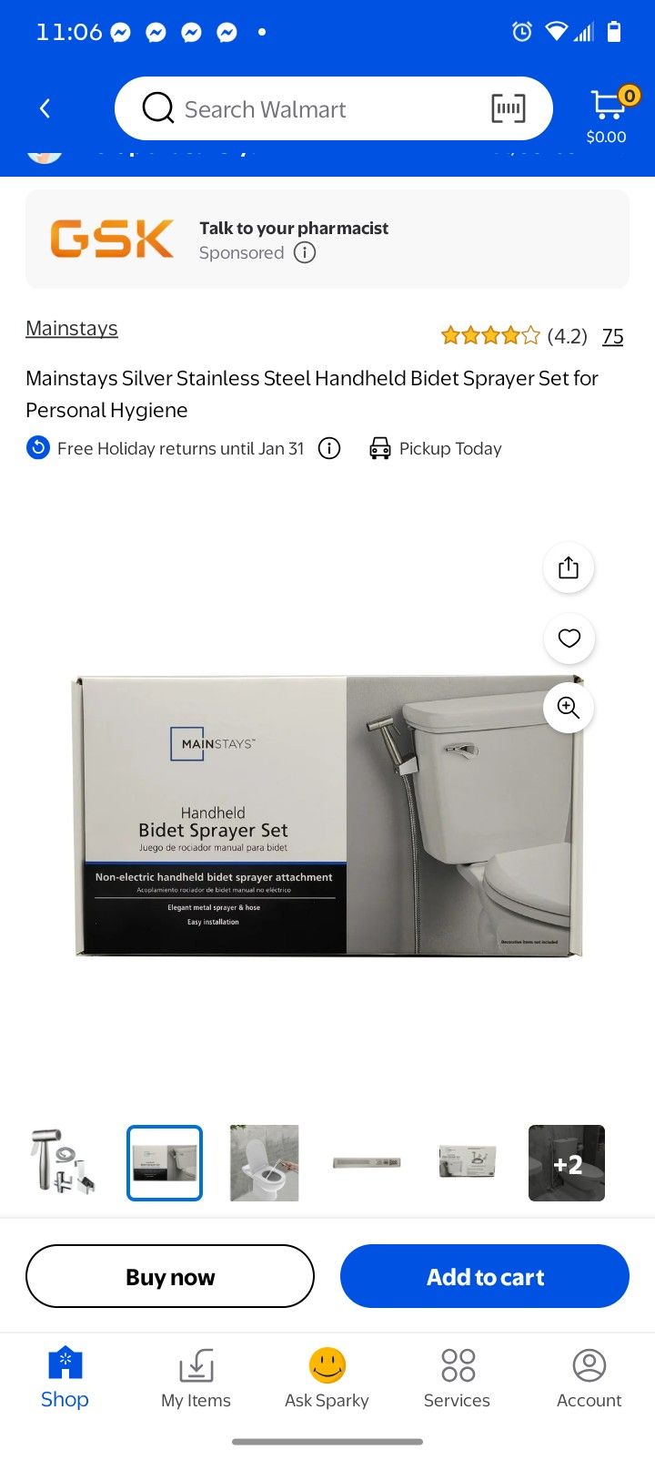 Mainstay Bidet