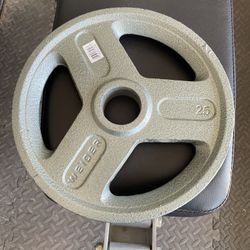 Weight Plates 25 Lbs *4