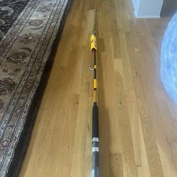 Ugly Stick Big Water Conventional Rod