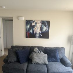 Blue Couch