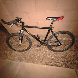 Vintage Carbon Fiber Giant