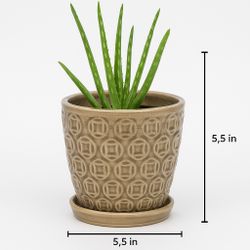 🌿 Crackle Glaze Ceramic Planter with Aloe Cutting – Attached Saucer, Boho Geometric Design  Bring a little desert charm indoors with this beautiful c