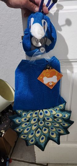 Dog Costumes And Life Vest