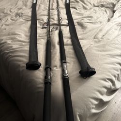 Super Seeker 7’ Rail Rods 