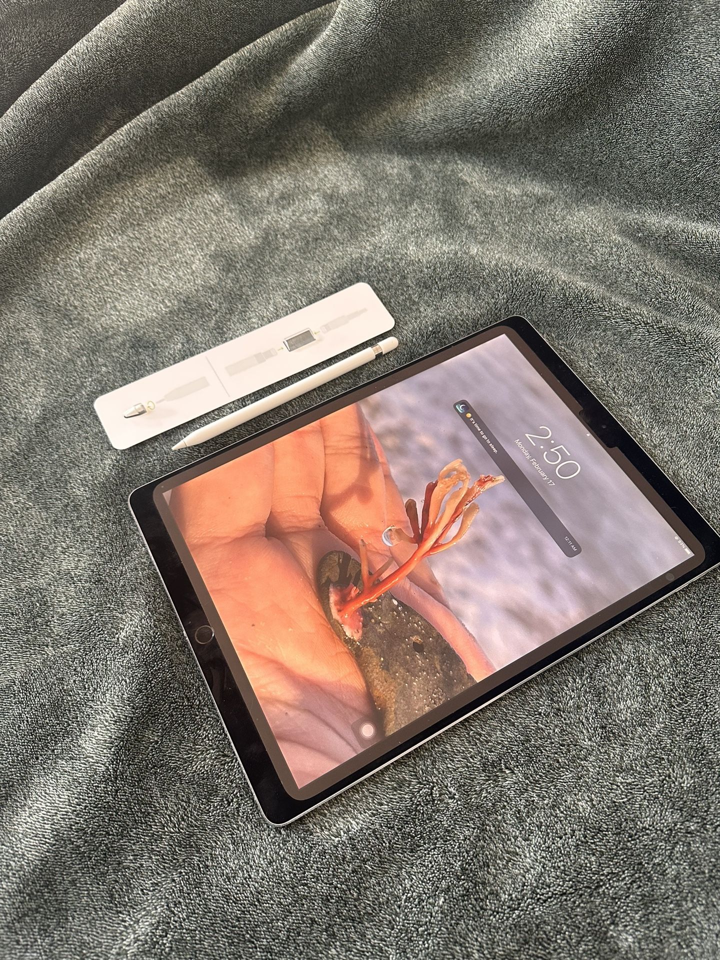 iPad Pro 12.9 Inch 512 GB 2017 2nd Gen