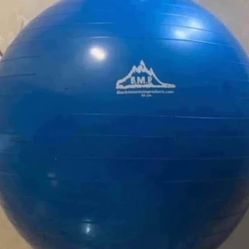 Exercise Ball / Yoga Ball – Black Mountain Products – 55cm