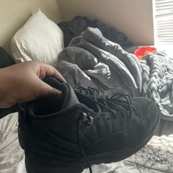 Jordan 12 Black Onyx