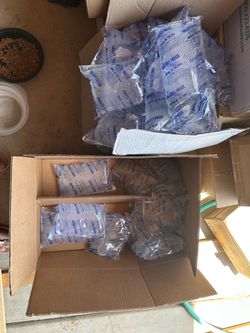 Free ice packs