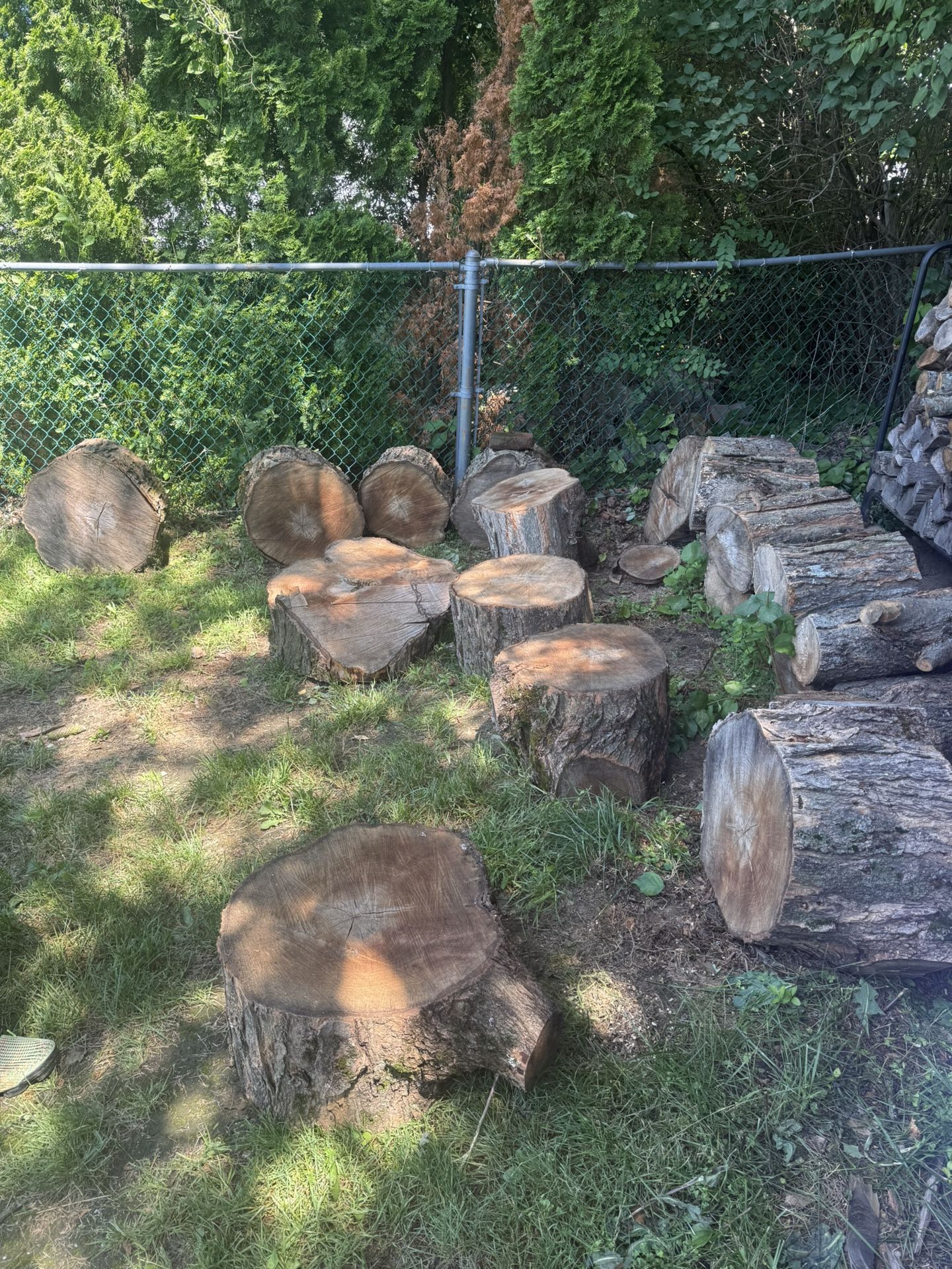 Free Wood