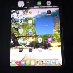 IPad Pro 11in M4 Wifi And Cellular Like New