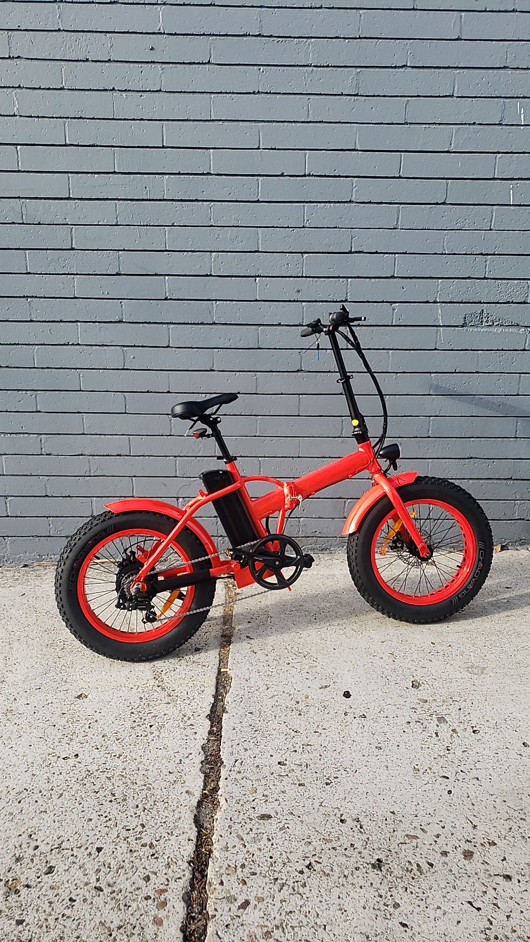 NEW Electric Bicycle "TJC" Duckies