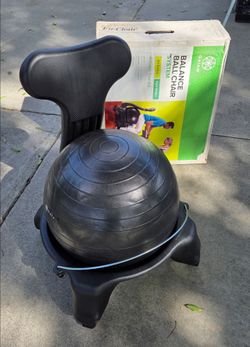 Balance Ball Chair system