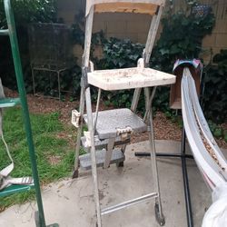 Cosco Painting Ladder Well Made Strong And Sturdy Made In USA!