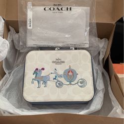Disney Cross Body Coach Bag