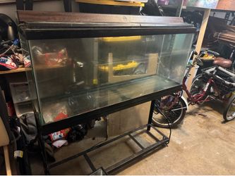 55 gallon aquarium with stand