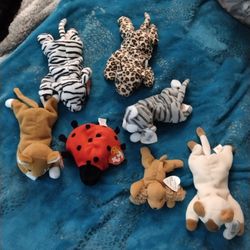 Beanie Babys