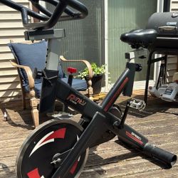 Pinty Exercise Bike 