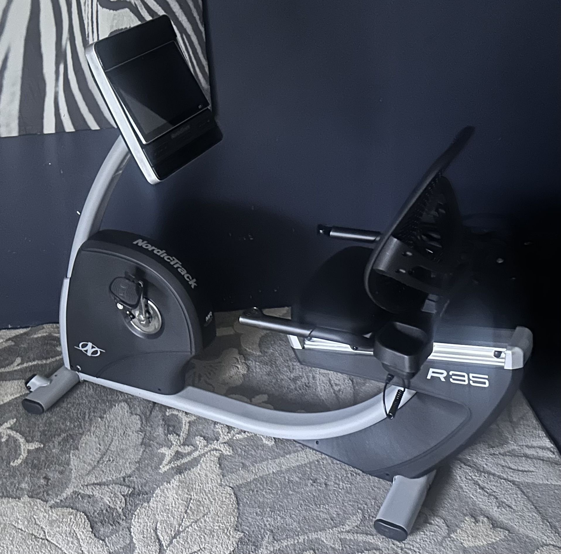 Nordictrack Recumbent Bike