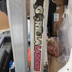 Multi-Position  Professional Gorilla Ladder 18'