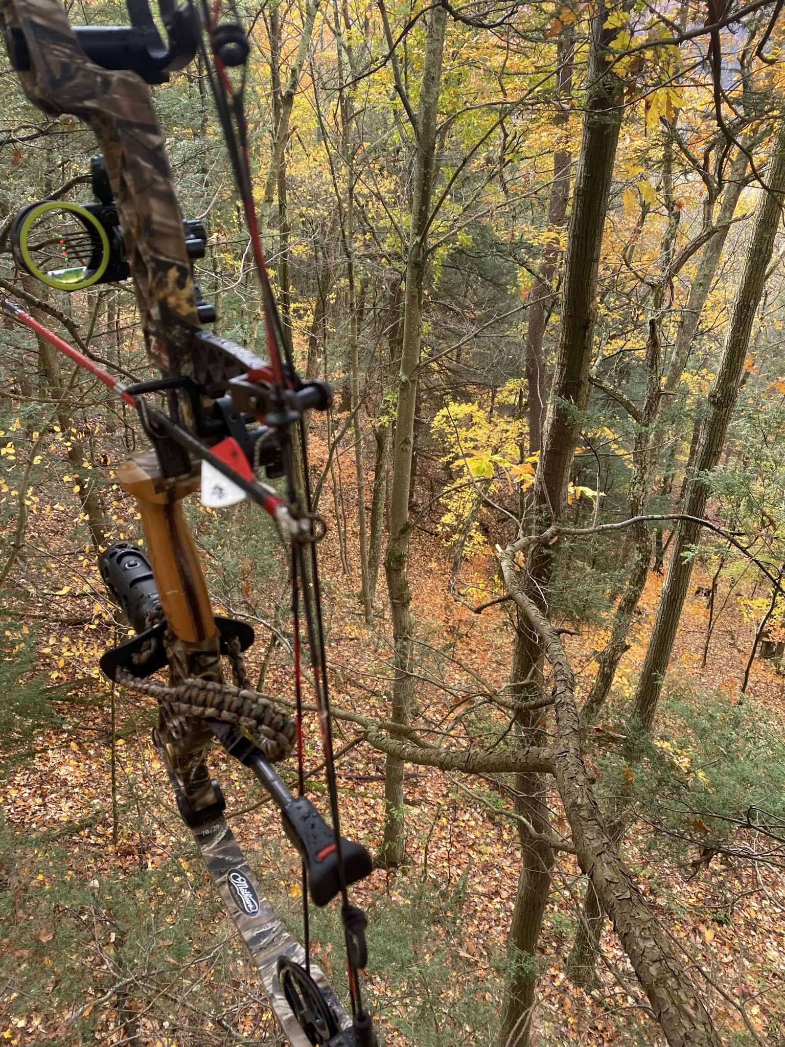 Mathews Z7 Solocam