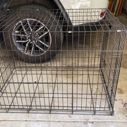 Extra large Dog Crate!