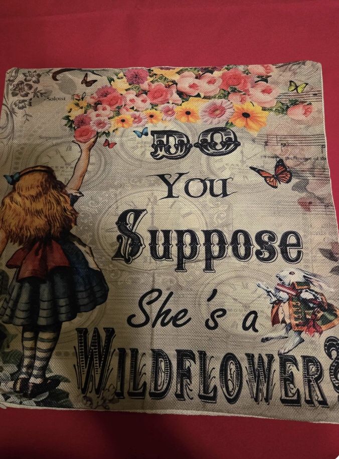 16” by 16” Alice in Wonderland pillow case