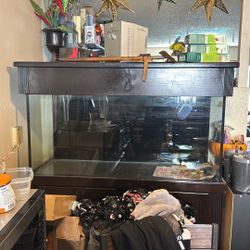 80 Gallon Aquarium W/stand And Canopy