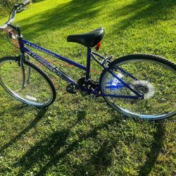 Murray  10 Speed Bike 26 Inch Titanium  Bike Great   Shape 