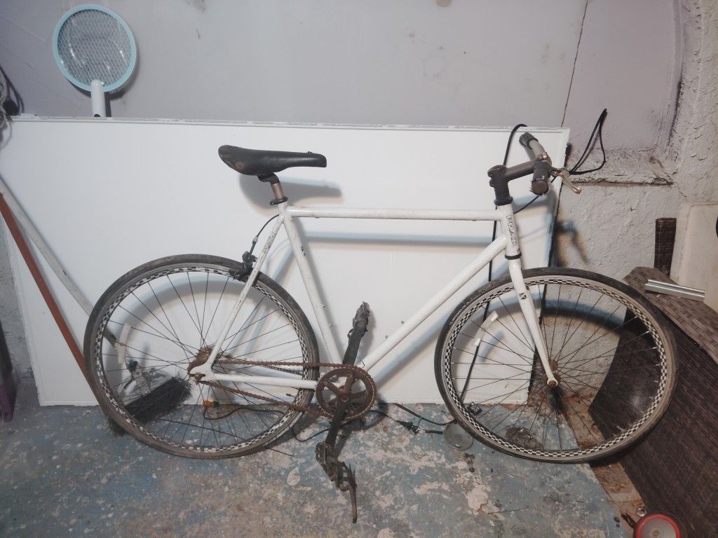 Fixie Bike