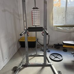 Bowflex Pull Up and AB Bar