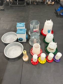 Poultry Feeder and Waterer Set