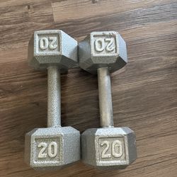 Two 20lb dumbbells