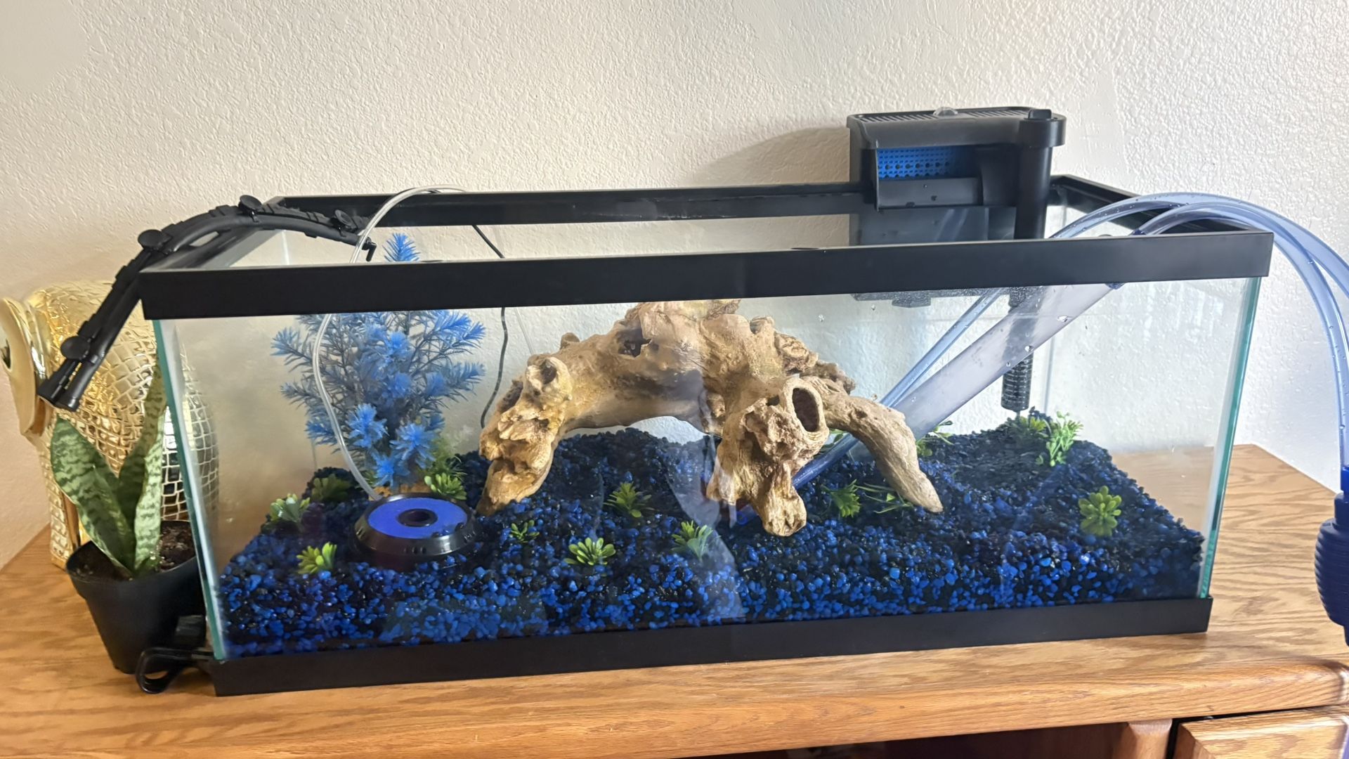 20 Gal Aqueon Standard Glass Rectangle Aquarium