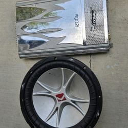 Speaker and Amplifier