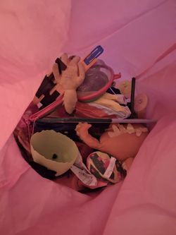Free toys