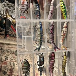 New..with Case….Lures