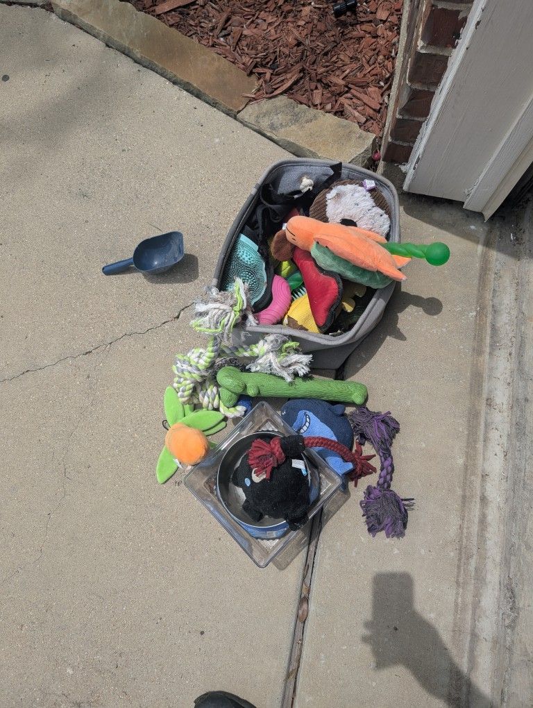 Doggie Toys